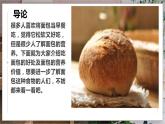 浙教版小学劳动三年级上册同步课件项目四任务2我是小小面包师