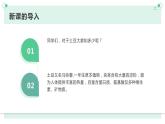 浙教版小学五年级劳动同步课件烤土豆