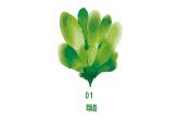 人教版小学四年级劳动同步课件五竹艺作品美