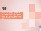 人教版小学四年级劳动同步课件九无公害菠菜我能种