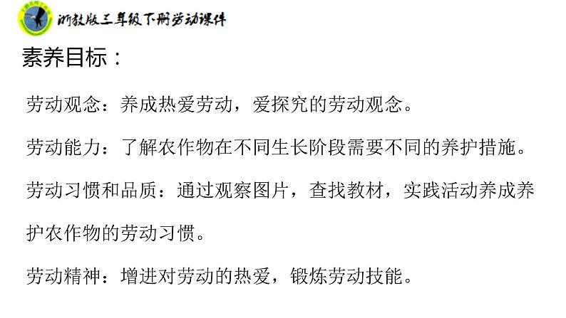 浙教版三年级劳动下册项目四任务三管理种植园课件+素材03