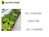 浙教版四年级下册劳动项目二任务一小小菜园我规划课件+素材