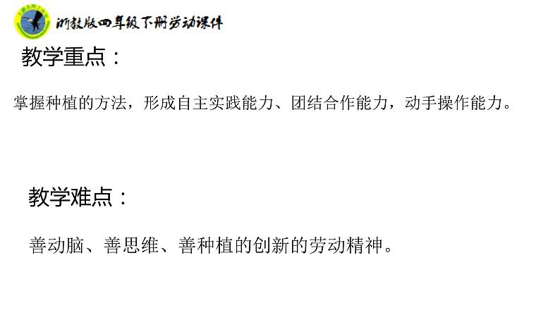 浙教版四年级下册劳动项目二任务二园中蔬菜我来种课件+素材04