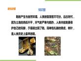1.2《鞋子的清洗与保存》课件+教案