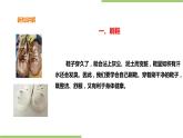 1.2《鞋子的清洗与保存》课件+教案
