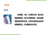 1.3《清洗小件衣物》课件+教案
