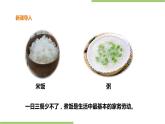 3.12《煮饭、煮粥》课件+教案