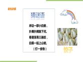 3.13《包饺子》课件+教案