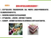1.2《清洗蔬菜水果》课件+教案