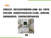 1.3《厨房卫生》课件+教案