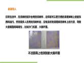 1.3《厨房卫生》课件+教案