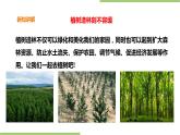 2.5《植树》课件+教案+视频