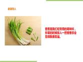2.6《盆栽香葱》课件+教案