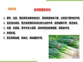 2.6《盆栽香葱》课件+教案