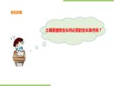 2.7《水培花》课件+教案