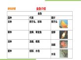 2.8《金鱼饲养》课件+教案
