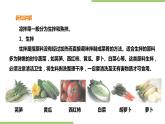 3.9《凉拌菜》课件+教案