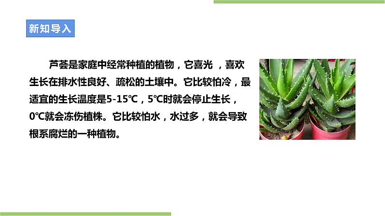 【粤教版】二年级全册《劳动与技术》第四单元 《 种棵小芦荟》课件第4页