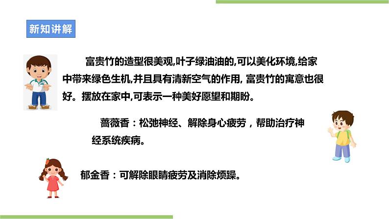 【粤教版】二年级全册《劳动与技术》第四单元 《 种棵小芦荟》课件第7页