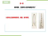 任务二 《小挂件我设计》课件+教案