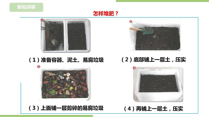 任务二《种植农作物》课件+教案08