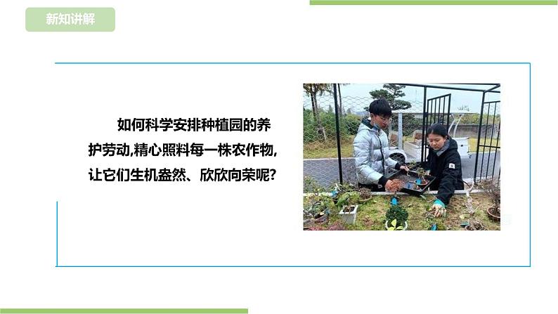 【浙教版】三年级下册《劳动》项目四 任务三《管理种植园》课件第4页