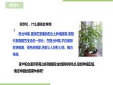任务一《小小菜园我规划》课件+教案