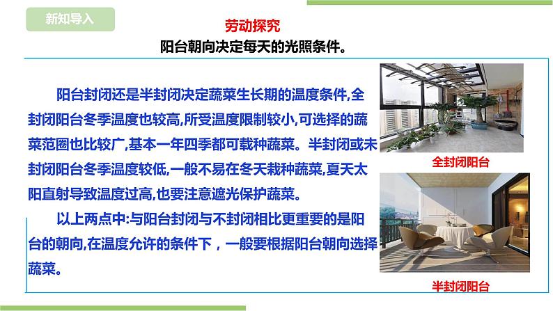 【浙教版】四年级下册《劳动》项目二 任务一 《小小菜园我规划》  课件第3页