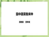 任务二《园中蔬菜我来种》课件+教案