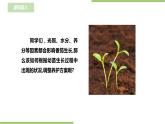 任务三《蔬菜幼苗我养护》课件+教案