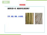 任务三《蔬菜幼苗我养护》课件+教案