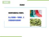 任务一《缝香袋》课件+教案