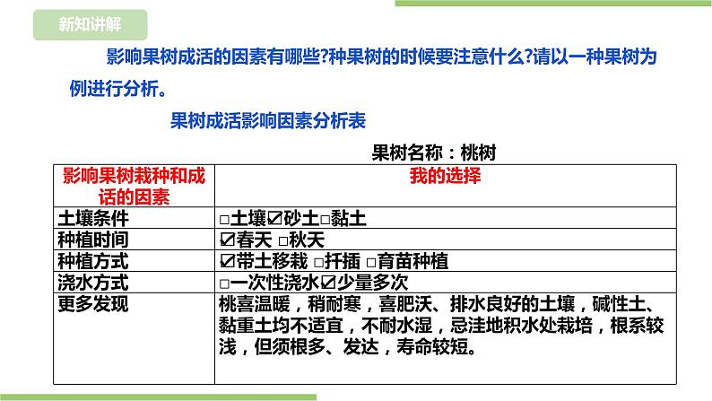 【浙教版】五年级下册《劳动》项目二 任务一 《小果树 我来种》 课件第4页