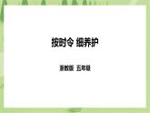 任务二《按时令 细养护》课件+教案