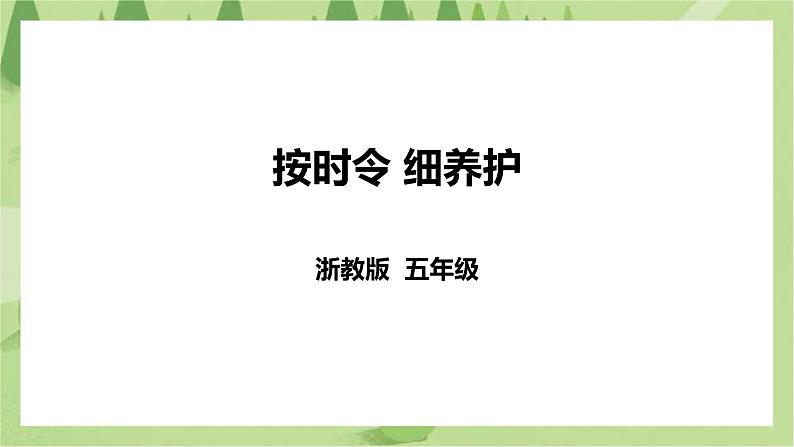 任务二《按时令 细养护》课件+教案01