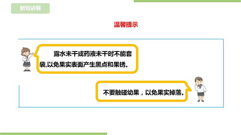 任务二《按时令 细养护》课件+教案05