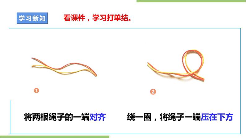 项目二 任务一《小网兜 我来编》课件+教案＋素材07