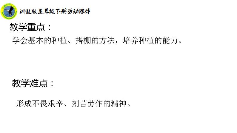 浙教版五年级下册劳动项目二任务一小果树我来种课件+素材04