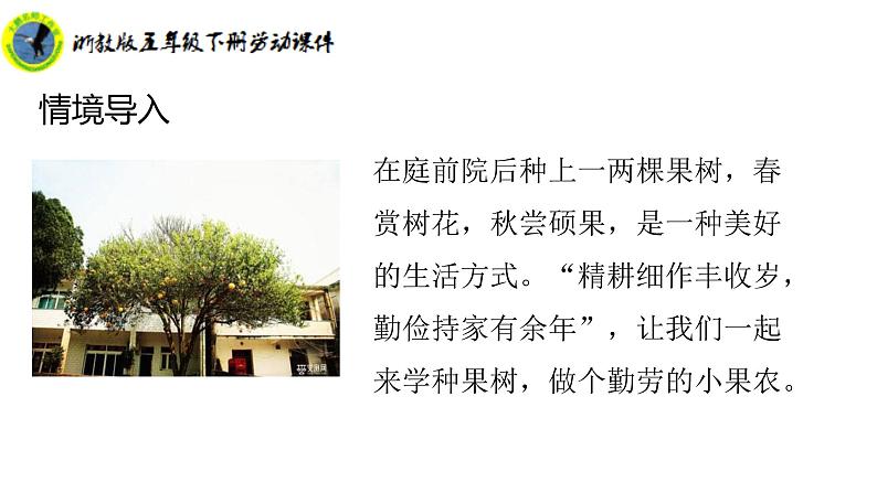 浙教版五年级下册劳动项目二任务一小果树我来种课件+素材07