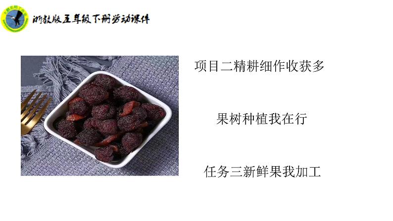 浙教版五年级下册劳动项目二任务三新鲜果我加工课件+素材02