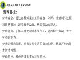 浙教版五年级下册劳动项目二任务三新鲜果我加工课件+素材