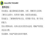 浙教版五年级下册劳动项目二任务二按时令细养护课件+素材