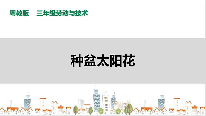 【粤教版】三年级全一册《劳动与技术》第四单元  活动1《种盆太阳花》教案+课件01