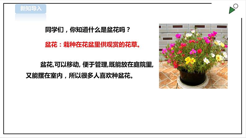 【粤教版】三年级全一册《劳动与技术》第四单元  活动1《种盆太阳花》教案+课件02