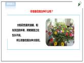 【粤教版】三年级全一册《劳动与技术》第四单元  活动1《种盆太阳花》教案+课件