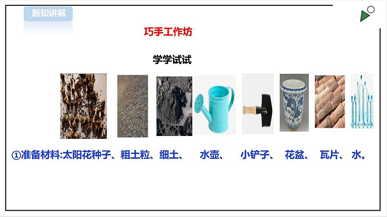 【粤教版】三年级全一册《劳动与技术》第四单元  活动1《种盆太阳花》教案+课件06