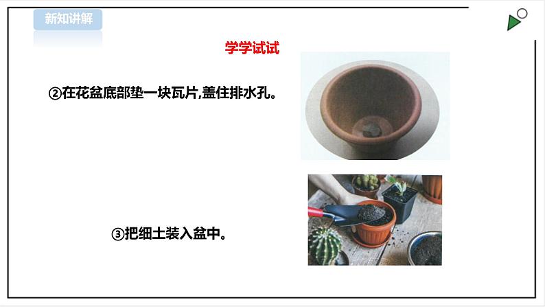 【粤教版】三年级全一册《劳动与技术》第四单元  活动1《种盆太阳花》教案+课件07