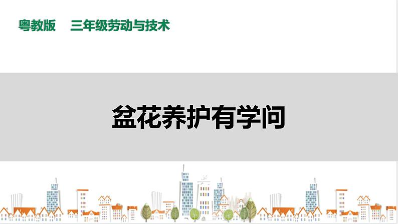 三年级全一册《劳动与技术》第四单元  活动2《盆花养护有学问》课件第1页