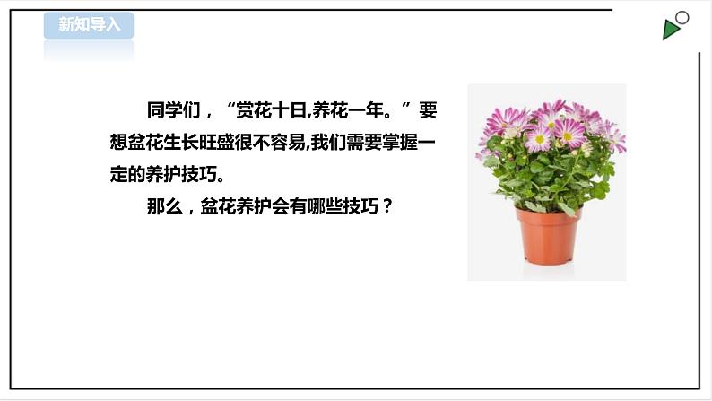 三年级全一册《劳动与技术》第四单元  活动2《盆花养护有学问》课件第2页