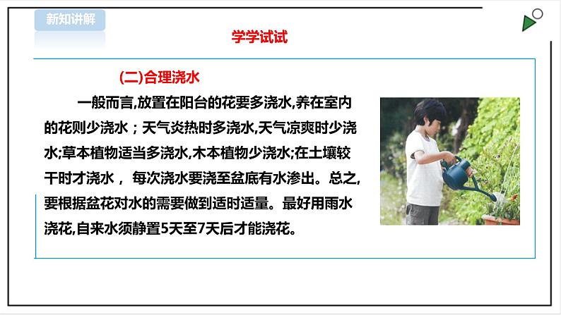 三年级全一册《劳动与技术》第四单元  活动2《盆花养护有学问》课件第6页